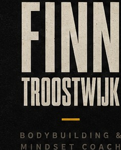 Compacte verticale variant van het Finn Troostwijk-logo
